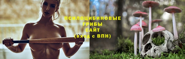 прущие грибы Абдулино