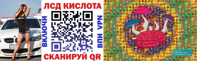 даркнет наркотические препараты  где найти наркотики  Северская  Марки NBOMe 1500мкг 