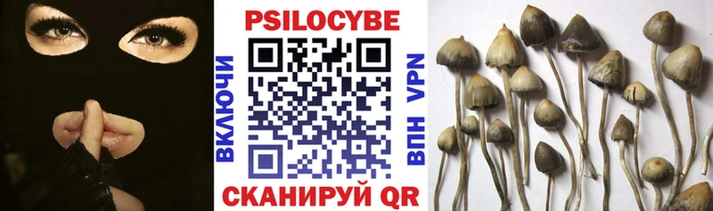 Псилоцибиновые грибы Cubensis  Северская 